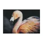 DRUK NA PŁÓTNIE Z APLIKACJAMI -B- FLAMINGO 120X3,8X80 cm